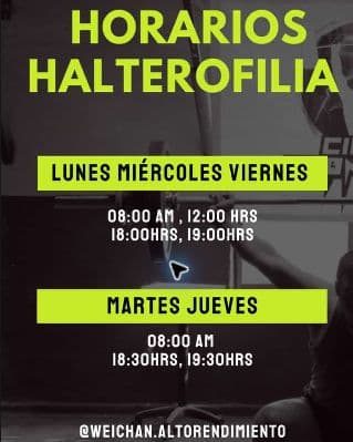 Afiche de Halterofilia del catálogo de Weichan