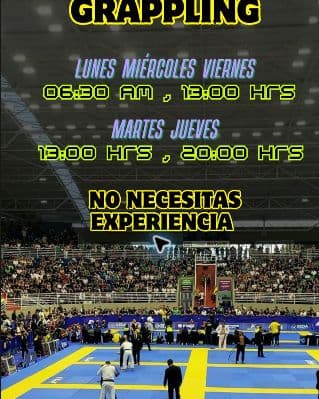 Afiche de Grappling del catálogo de Weichan